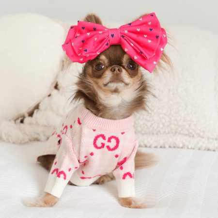 Chihuahua Knit - Pink