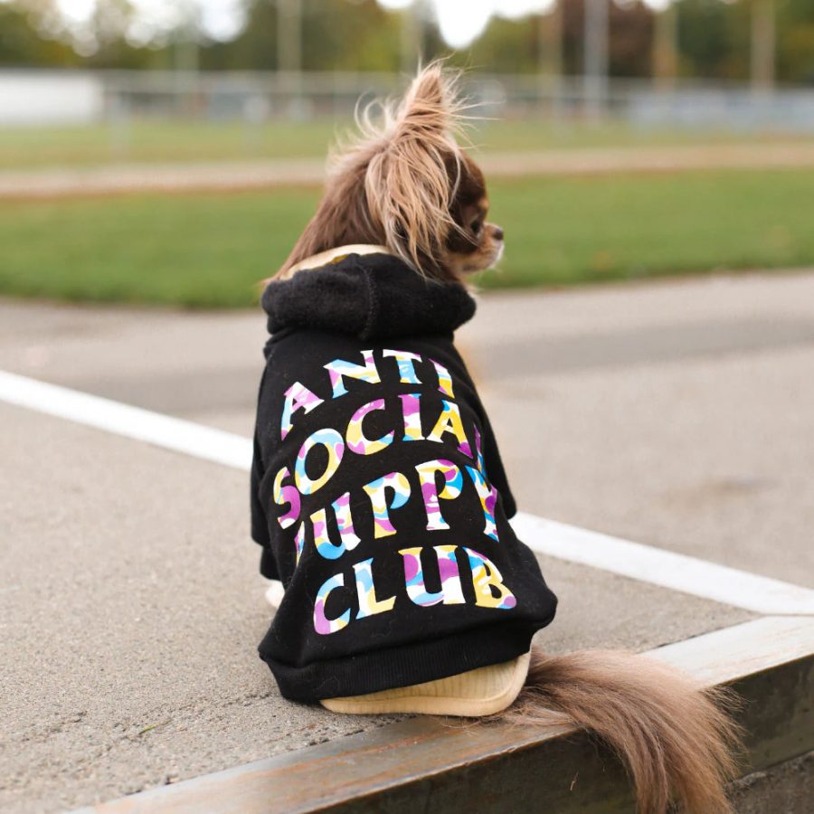 Anti Social Puppy Club Chihuahua Hoodie