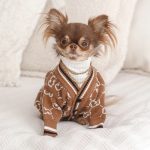 gucchihuahua-cardigan-brown-sweater