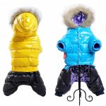Chi Dog Jacket