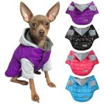 Chihuahua Jacket - Hooded