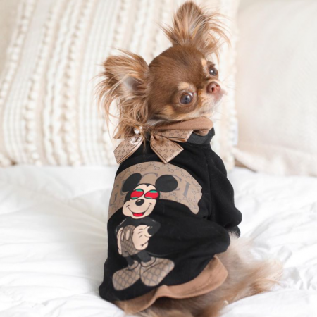 Mickey Mouse Pucci Chihuahua Sweatshirt