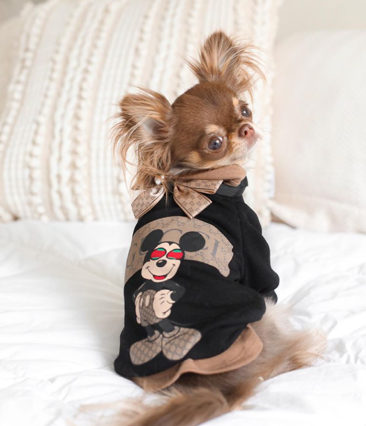 Mickey Mouse Pucci Chihuahua Sweatshirt