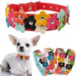 chihuahua-flower-leather-collar