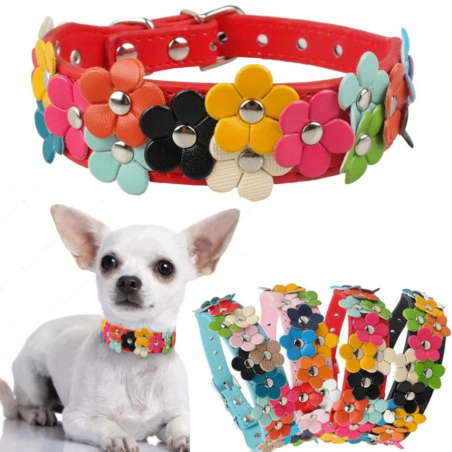 chihuahua-flower-leather-collar
