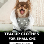 Teacup Chihuahua Clothes