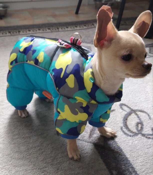 Waterproof Winter Warm Jacket For Chihuahuas