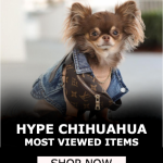 Chihuahuas Designer Clothes
