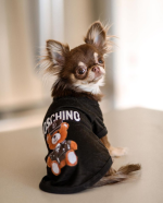 Moschino Chihuahua Hoodie