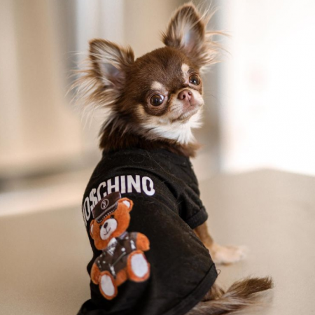 Moschino Chihuahua Hoodie