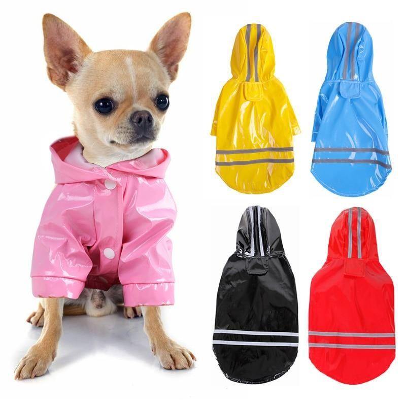 chihuahua jackets