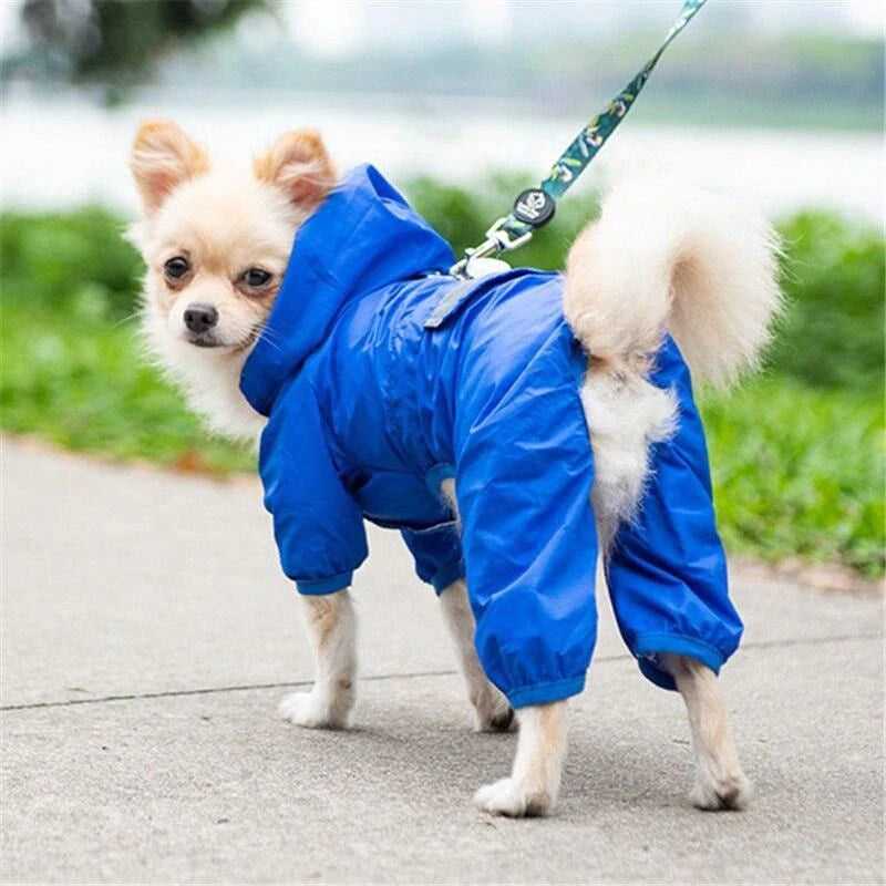 chihuahua jackets