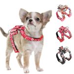 princess-chihuahua-harness