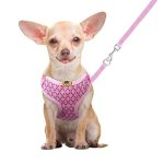 chihuahua-harness-with-diamonds