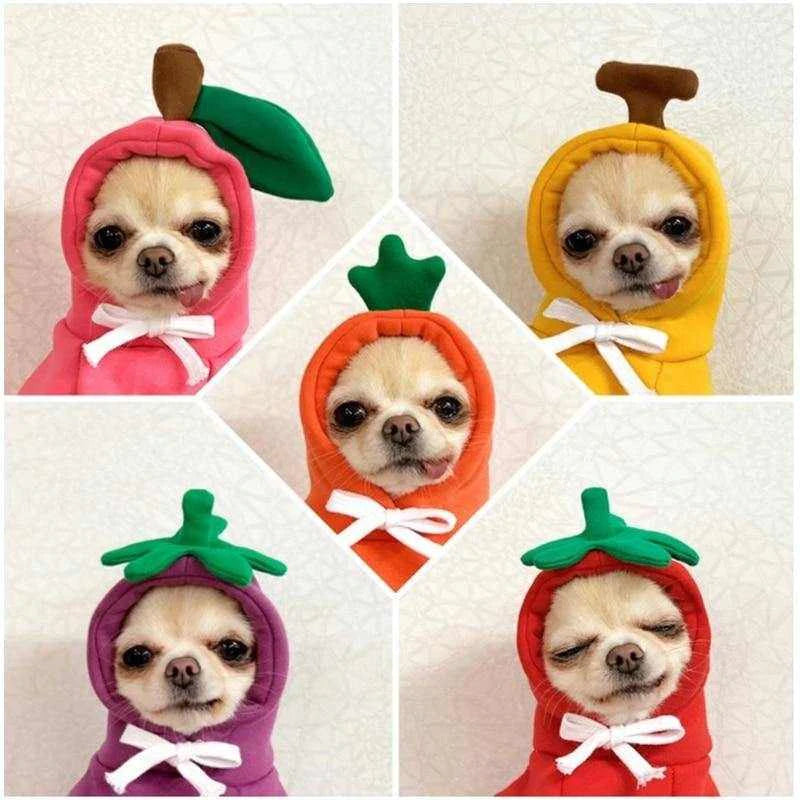 chihuahua hoodies