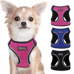 chihuahua-mesh-harness