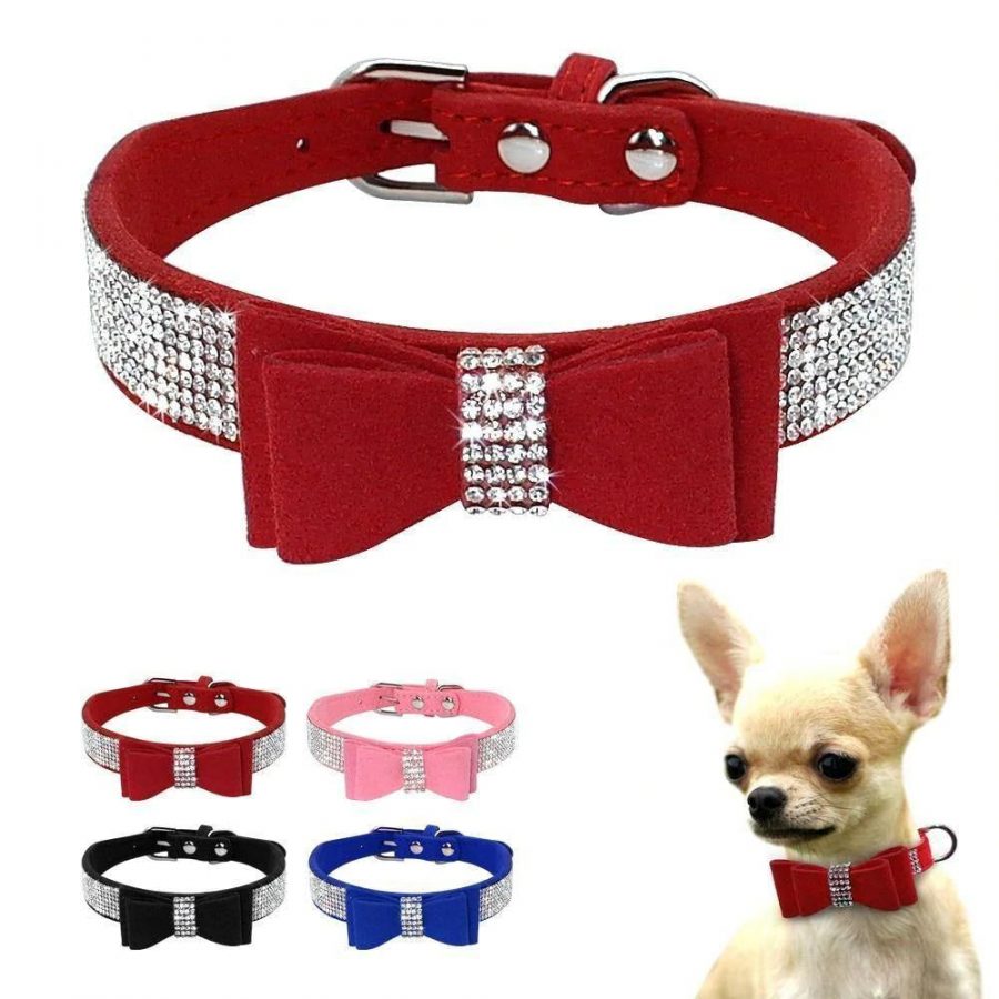 chihuahua-bow-tie-collar