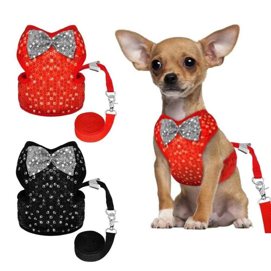 chihuahua-harness-with-a-bow-tie