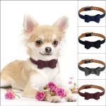 plaid-bow-tie-chihuahua-collar