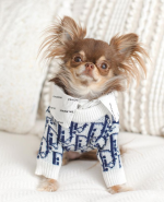 chihuahua sweater