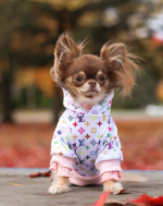 chihuahua-heart-hoodie