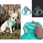 breathable-mesh-chihuahua-harness