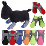 chihuahua-pawsguard-outdoor-rain-boots