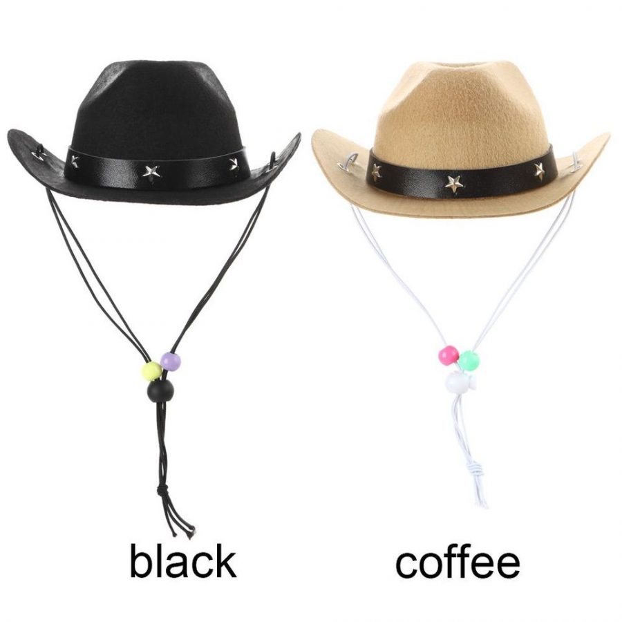 chihuahua-cowboy-hat
