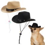 chihuahua-cowboy-hat