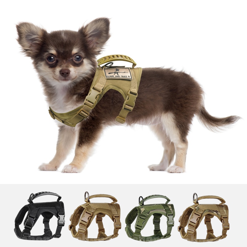chihuahua-tactical-vest