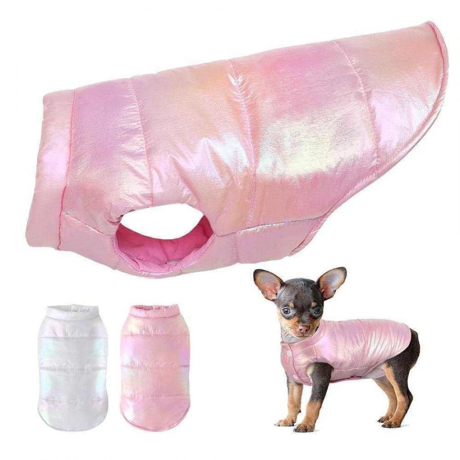 chihuahua winter clothes