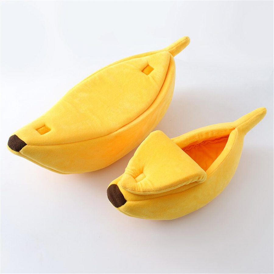 banana-chihuahua-bed