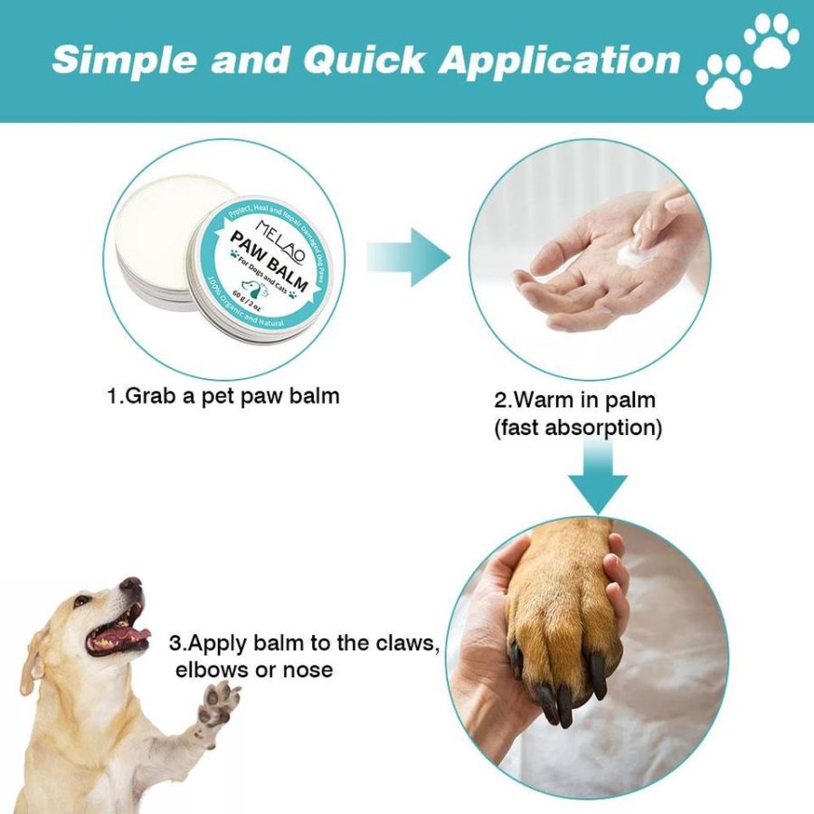 chihuahua-paw-balm