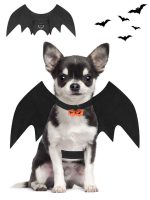 halloween-costume-chihuahua-wings