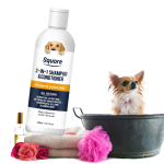 Chihuahua Grooming Essentials