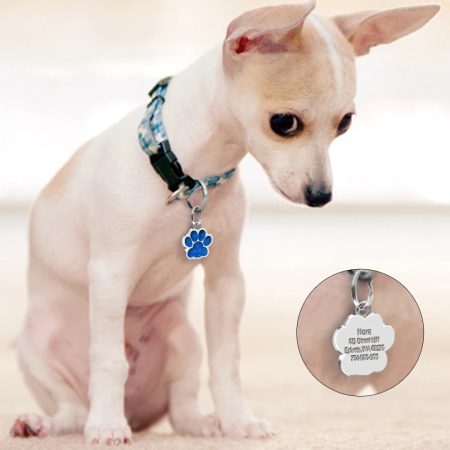 personalized-engraved-id-tags-chihuahua-accessories
