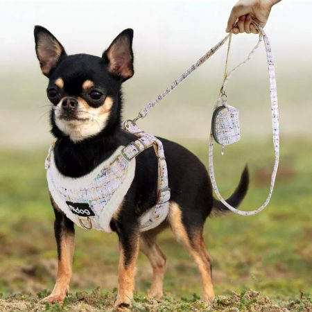 soft-warm-chihuahua-harness-leash-bag-set