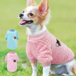 winter-warm-cute-chihuahua-clothing