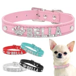 bling-rhinestone-personalized-chihuahua-collar