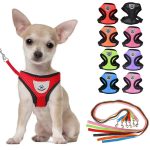 nylon-mesh-chihuahua-breathable-leash-harness