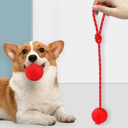 elastic-solid-rubber-chihuahua-interactive-toys