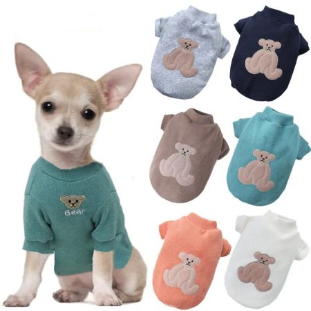 autumn-winter-chihuahuas-sweaters