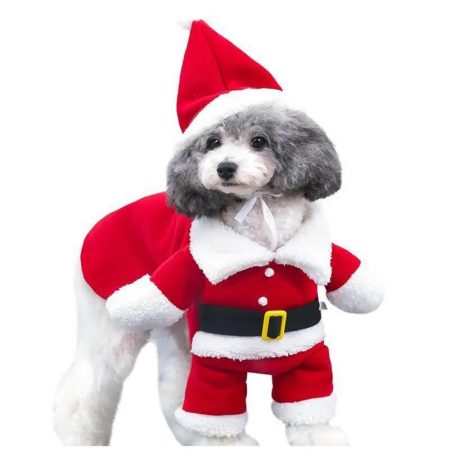 funny-christmas-chihuahua-santa-costume