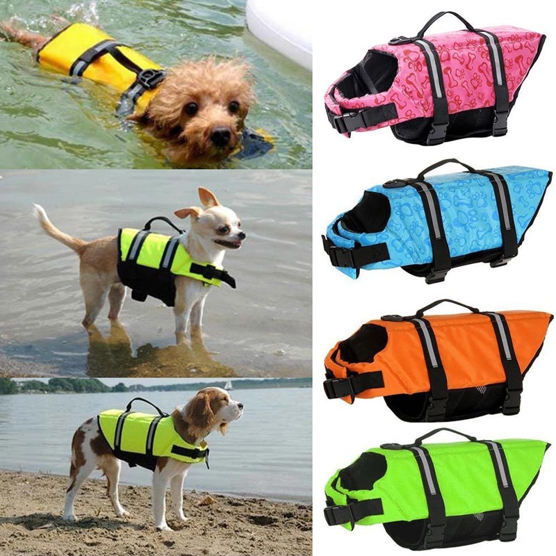 chihuhua life jacket