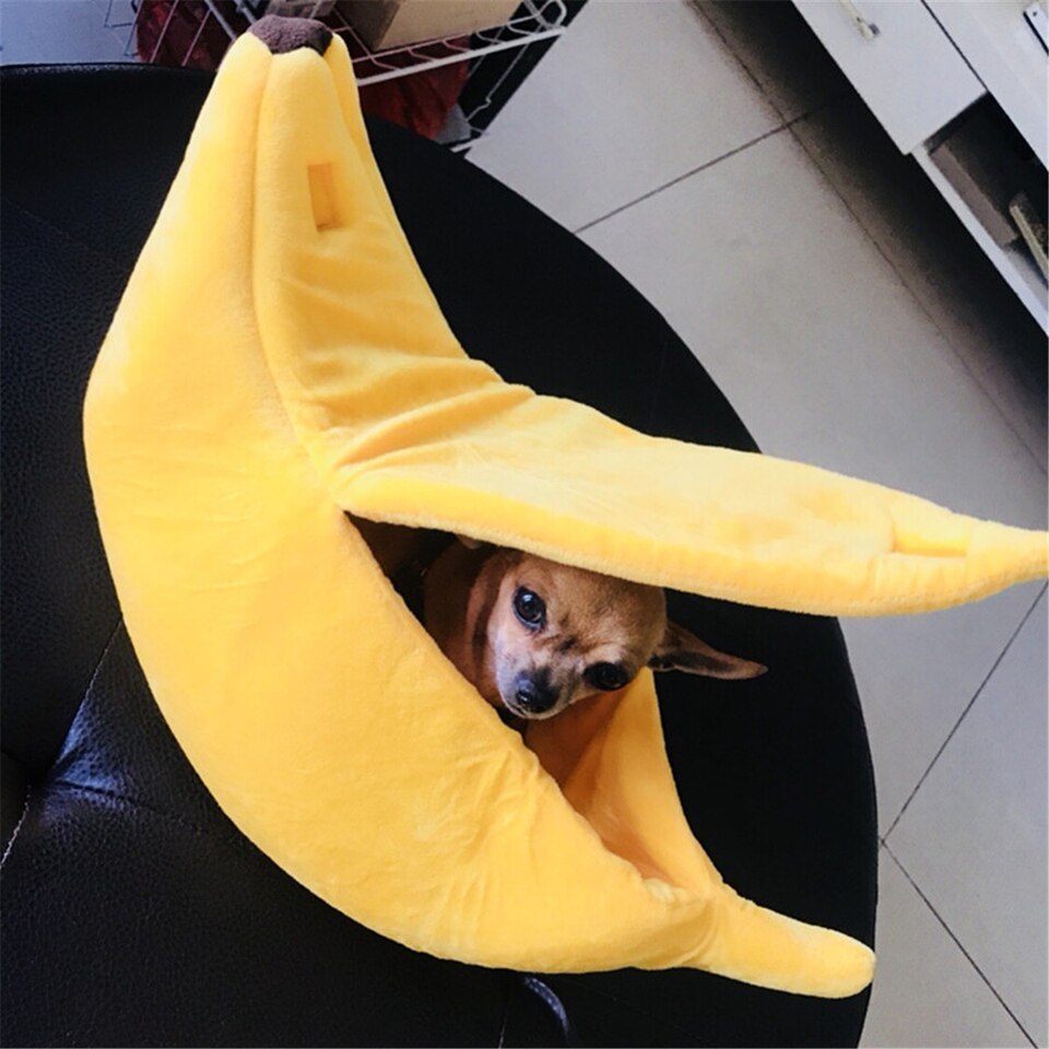 banana dog bed
