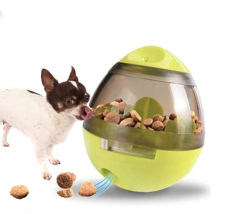 toy for a chihuahua