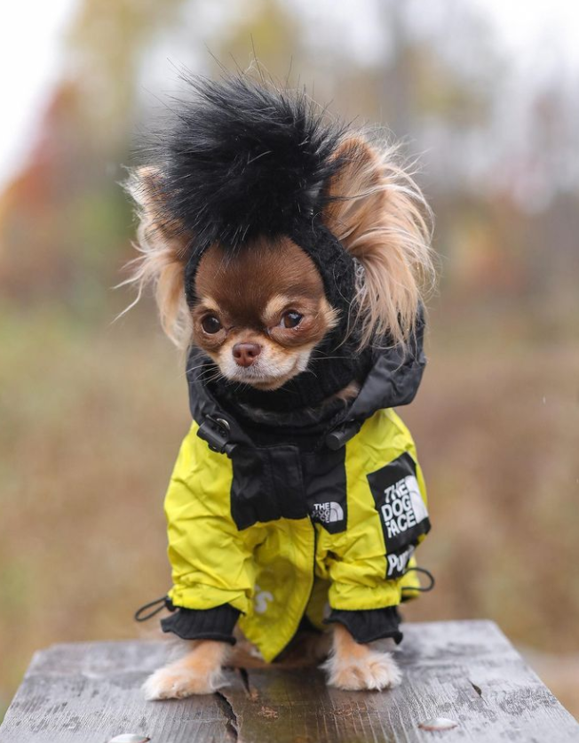 waterproof chi clothes