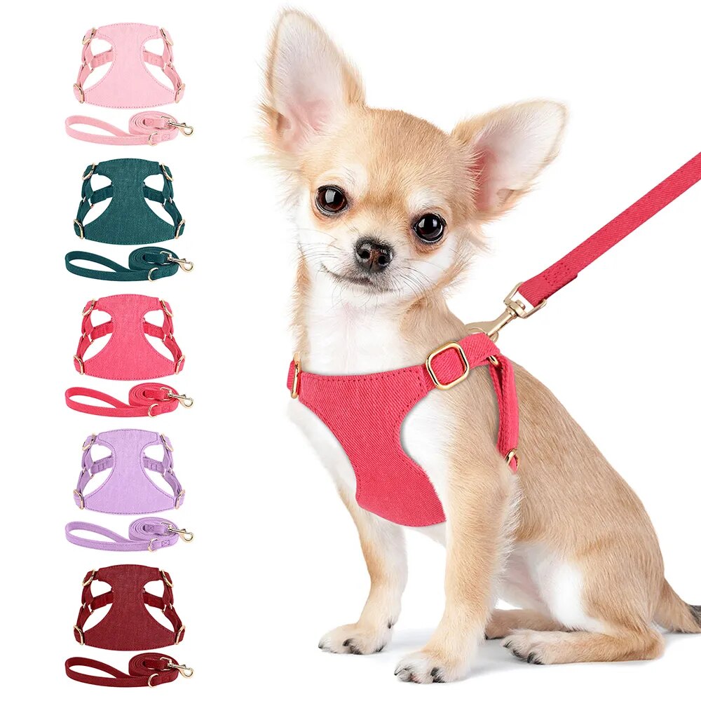 harness for a chihuahua