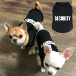 teacup chihuahua clothes