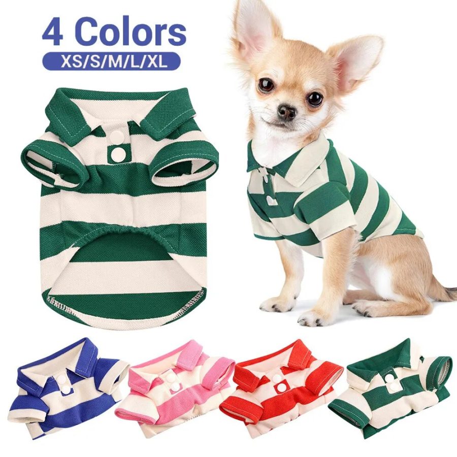 teacup chihuahua shirt